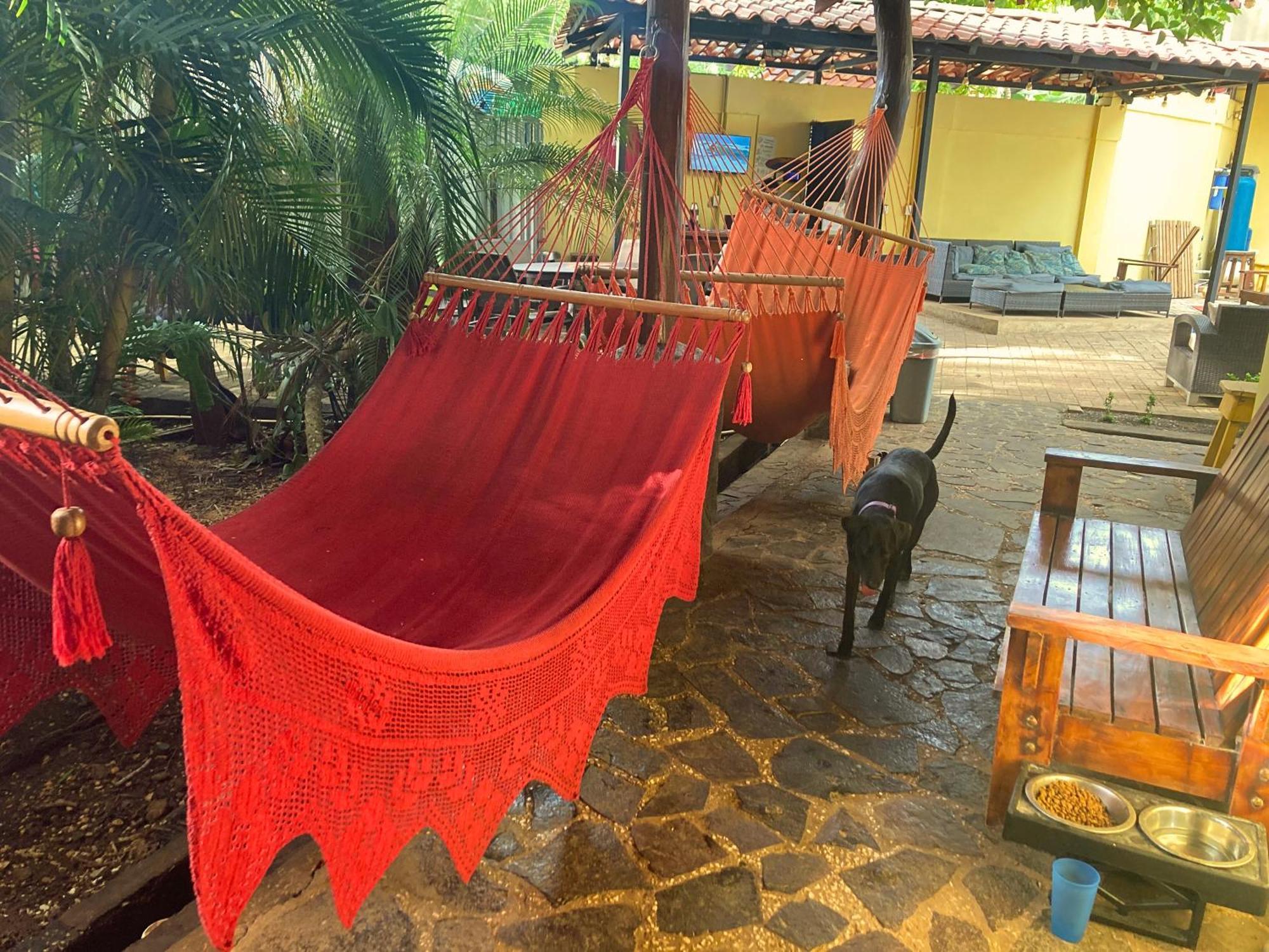 Tamarindo Backpackers Vandrehjem Eksteriør billede